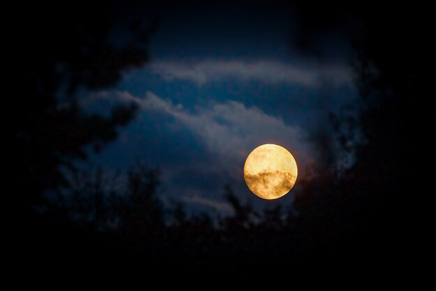 Nature & Travel — Image 3