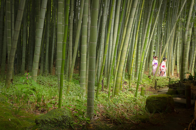 Nature & Travel — Image 14