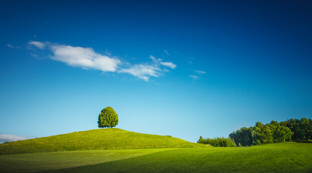 Nature & Travel — Image 15