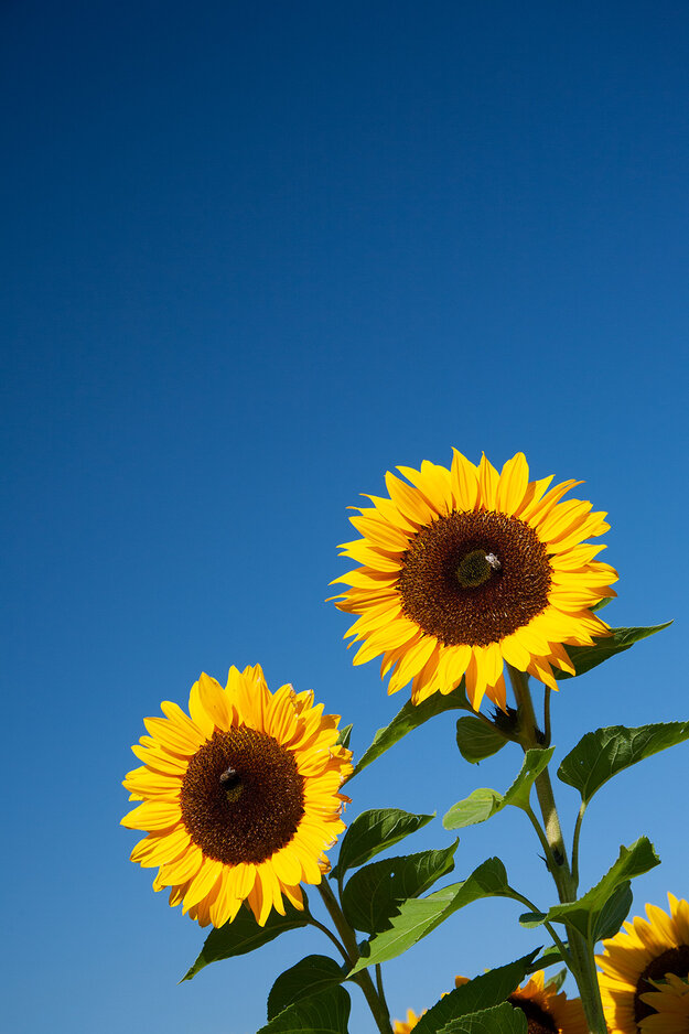 Nature & Travel — Image 29