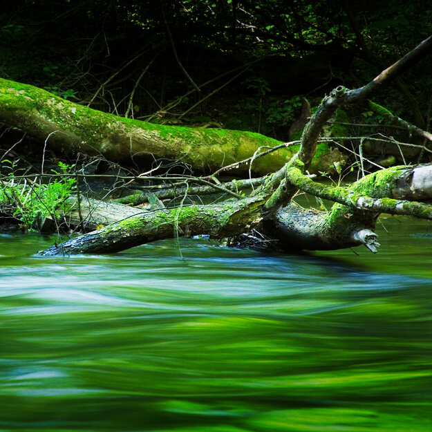 Nature & Travel — Image 6