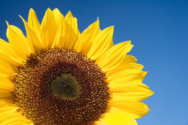 Nature & Travel — Image 9