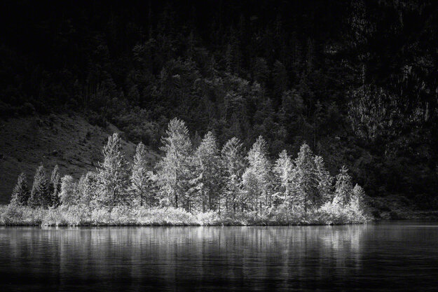 Black & White — Image 2
