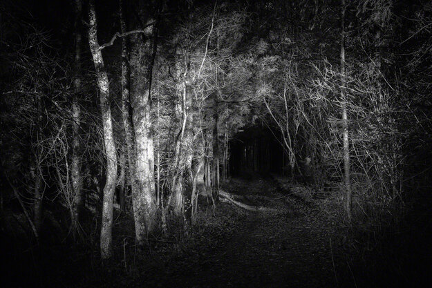 Black & White — Image 3