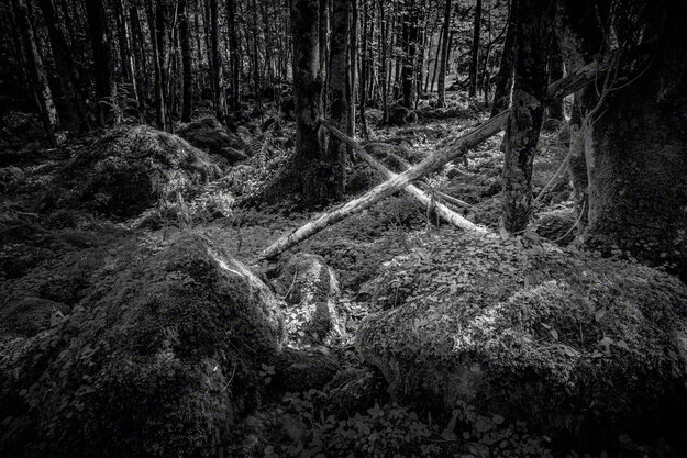 Black & White — Image 4