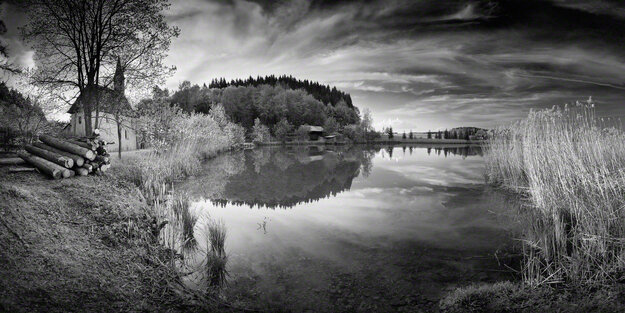 Black & White — Image 6