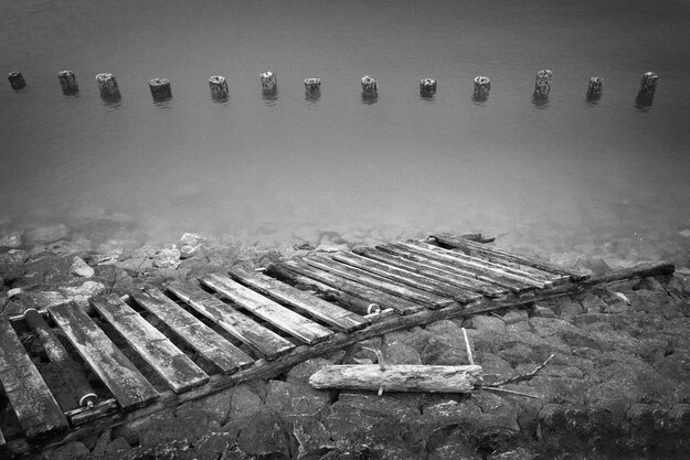 Black & White — Image 7