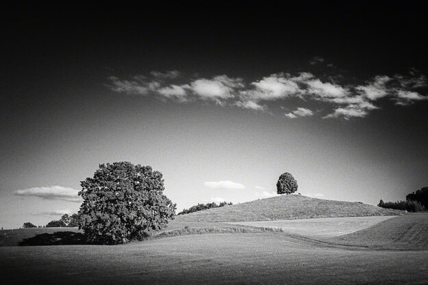 Black & White — Image 1