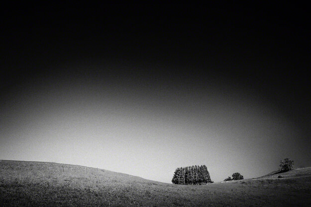 Black & White — Image 8