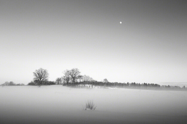 Black & White — Image 12